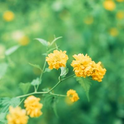 迷你城堡校园生活完整版下载